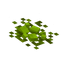 Olivine Surface Rock