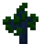 Pine Sapling