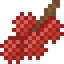 Lychee