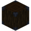 Dark Oak Log 2x