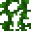 Vines