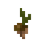 Boreal Seeds
