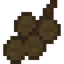 Walnut Fruit