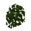 Oak Hedge