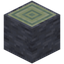 Echo Log