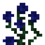 Rose Bush