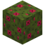 Red Moss Block