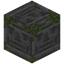 Unamused Mossy Stone Bricks
