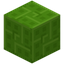 Mosaic Lime Concrete