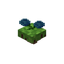 Floating Hydroangeas