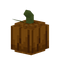 Medium Pumpkin