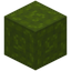 Cornered Green Wool