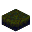 Warped Nylium Slab