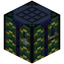 Witch Hazel Crafting Table