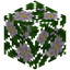Almond Crop