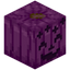 Magenta Carved Pumpkin