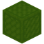 Harsh Quilted Lime Wool