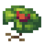 Lush Lily Pad