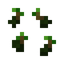 Kiwi Seeds