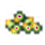 Grassy Seed