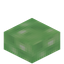 Slimy Delight Slab
