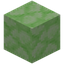 Glowing Green Bioshroom Block