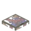 Papaya Trapdoor