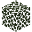 Birch Leaves