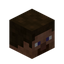 Player Head
