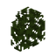 Dark Oak Hedge