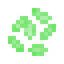 Honeydew Seeds