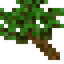 Jungle Twig