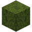 Mossy Dried Kelp Block