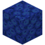 Tube Coral Block