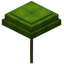 Lime Umbrella