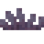 Purple Bitter Sprouts