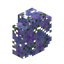 Jacaranda Hedge