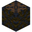 Jungle Log 8x