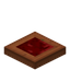 Warted Acacia Trapdoor