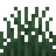 Tall Slimy Grass