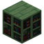 Green Bookshelf