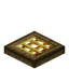 Golden Barred Oak Trapdoor