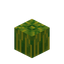Mini Melon