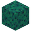 Spongy Warped Wart Block