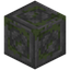 Bordered Mossy Stone Bricks