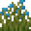 Wild Flax