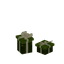 Couple Green Presents