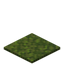Moss Carpet