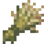 Barley