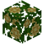 Coconut Crop